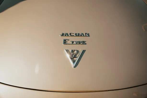 Untold Kasyno Aplikacja Android/iOS